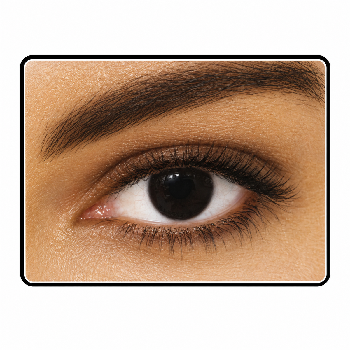 Black-Circle Contacts