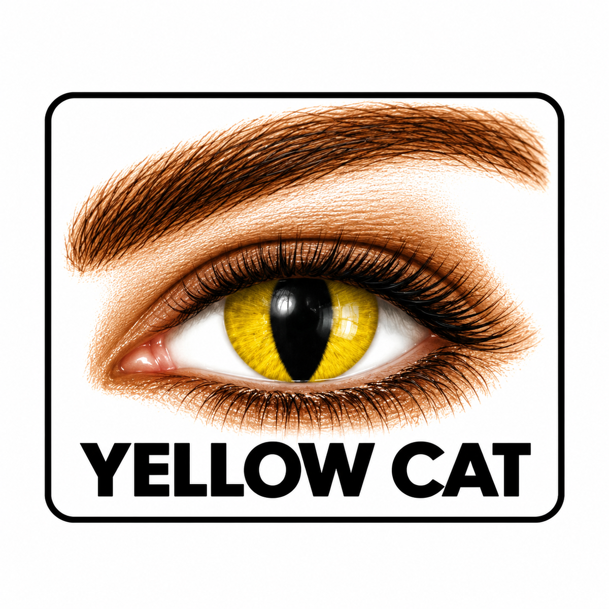 Yellow-Cat Contacts