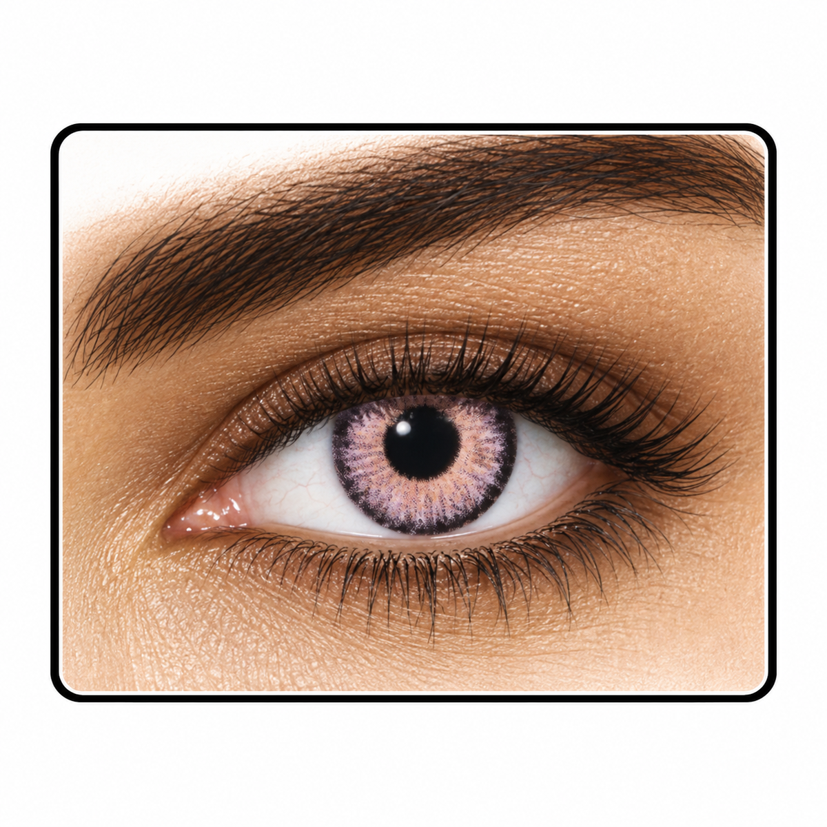 Violet-Contacts