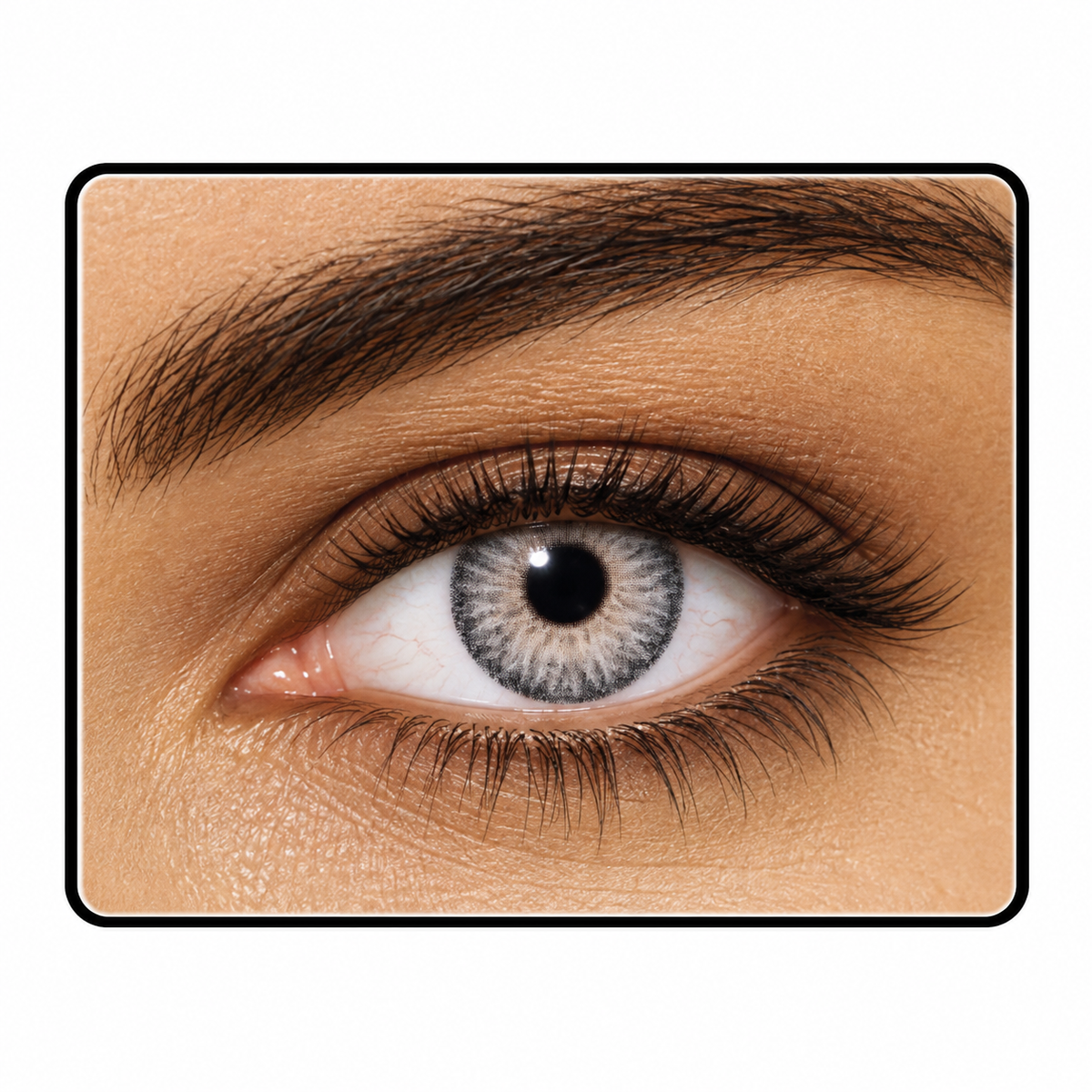 Sweet-Gray Contacts