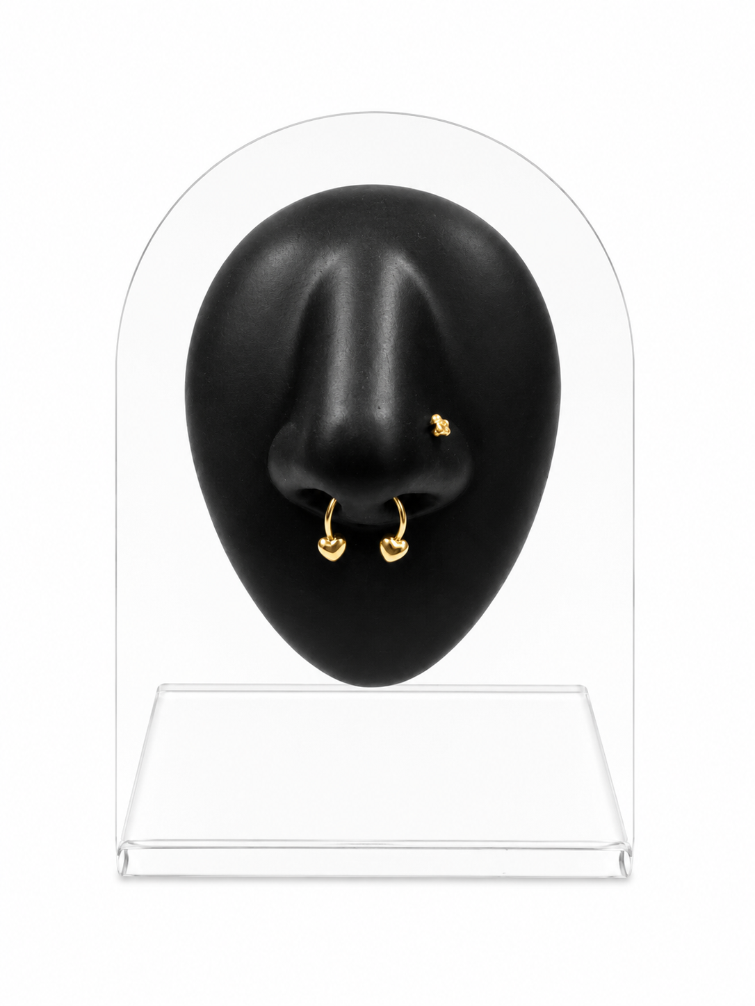 Heart Septum