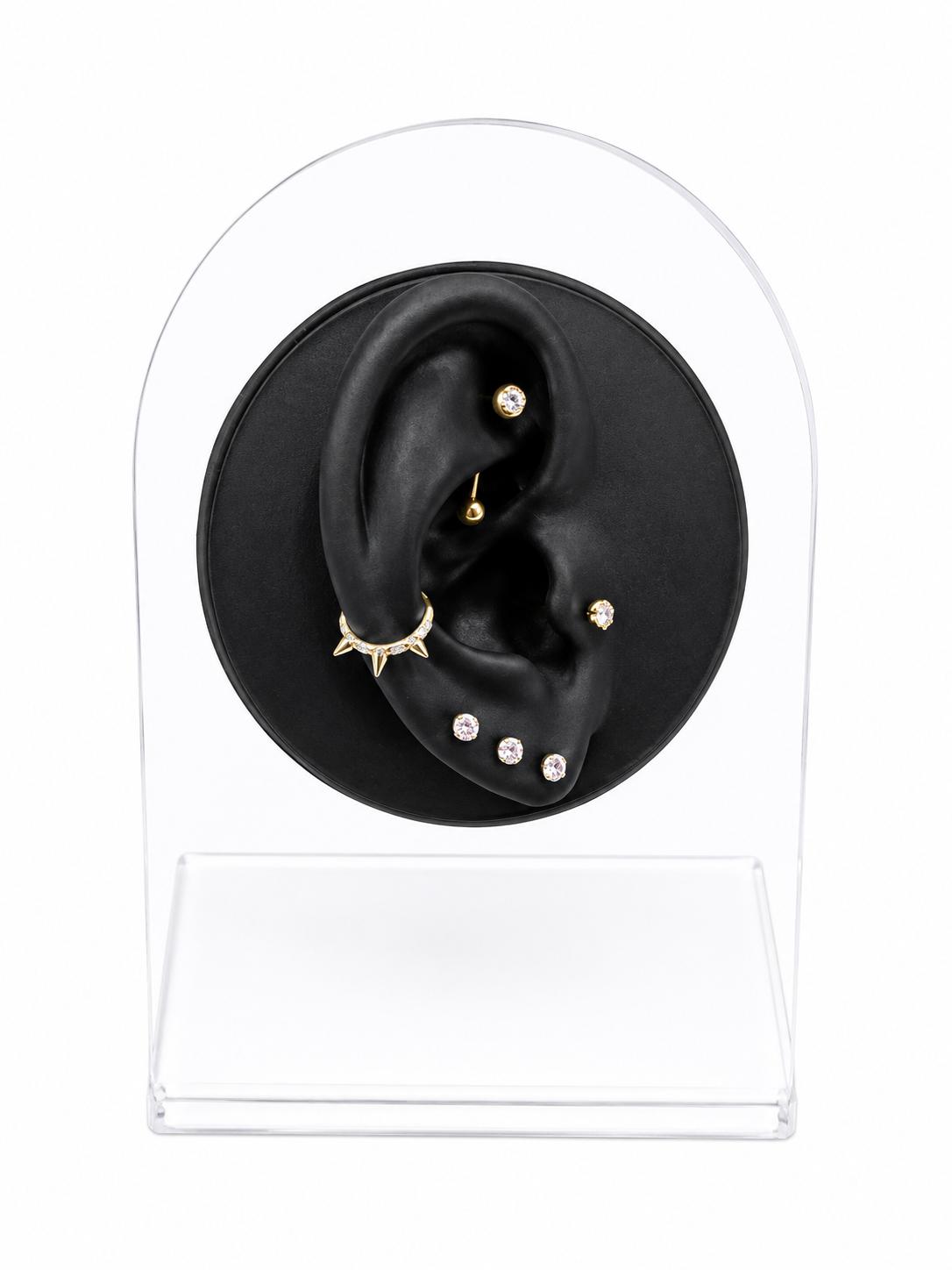 Spiked Conch Hoop