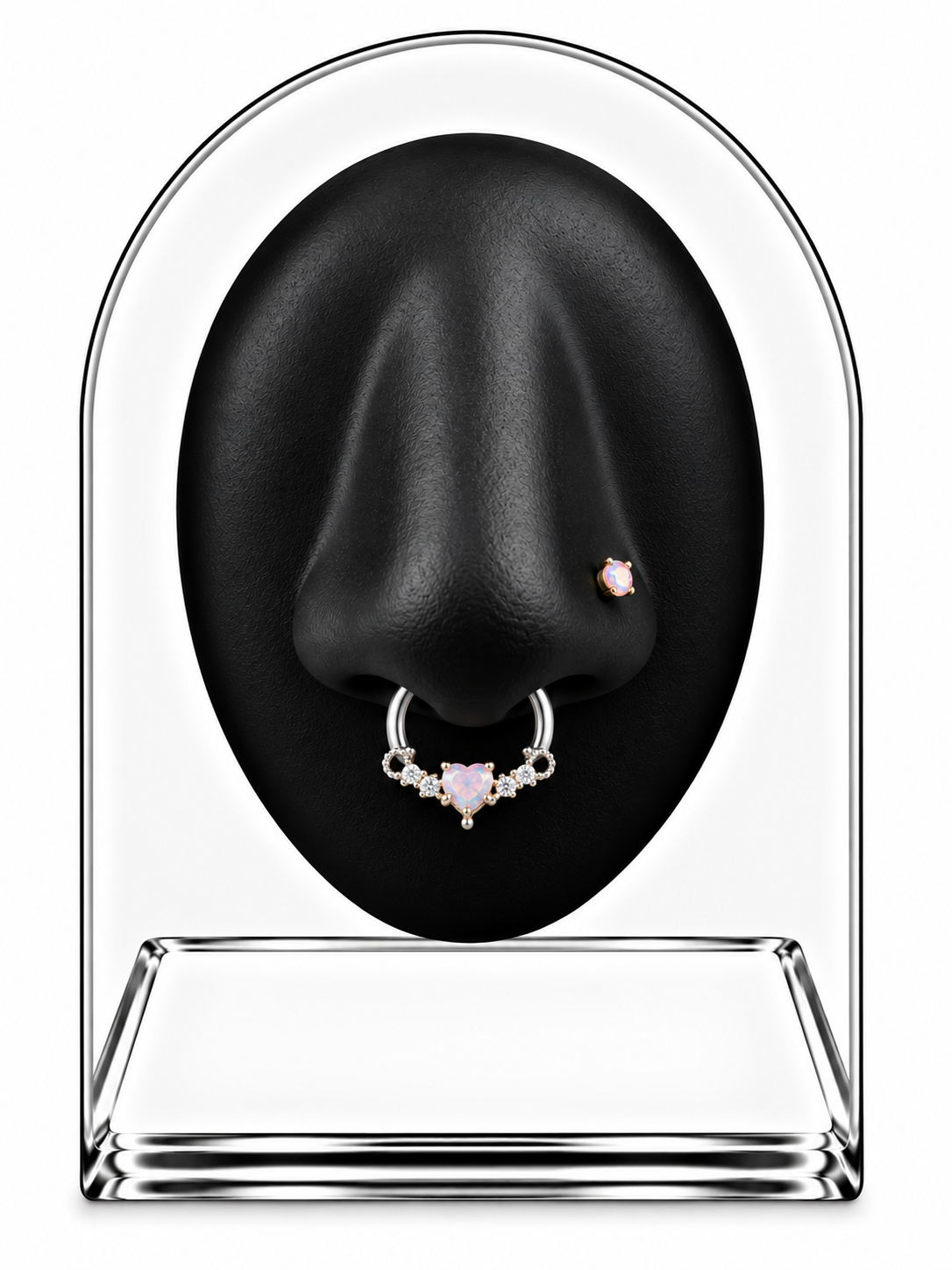 Heart Septum