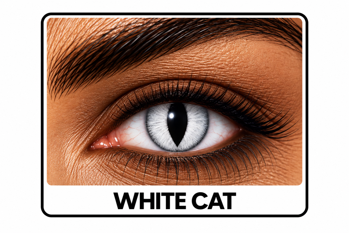 White-Cat Contacts