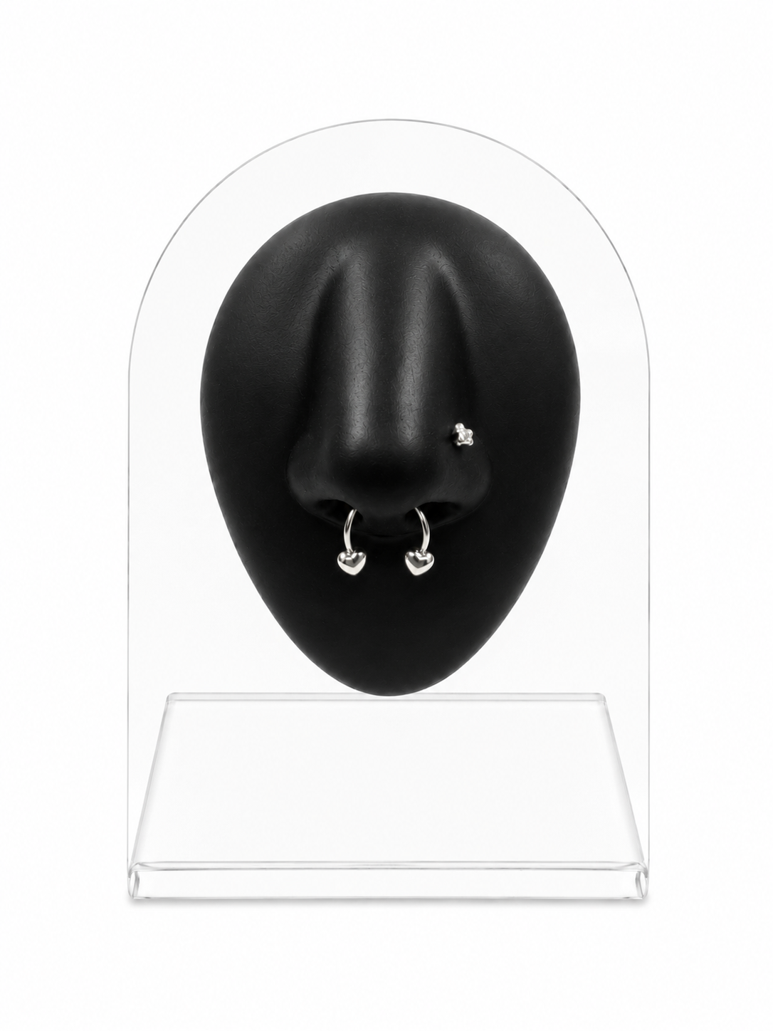 Heart Septum
