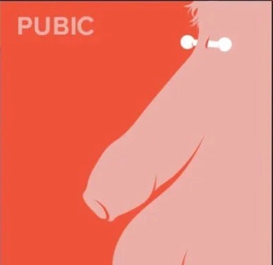 Public Piercing (penile)