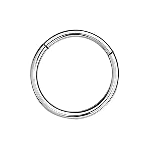 Silver Nose Hoops